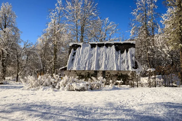 Val Canali Doğal Park Paneveggio Trentino Kış Manzarası — Stok fotoğraf