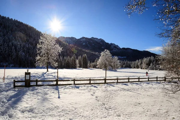 Paisaje Invernal Val Canali Parque Natural Paneveggio Trentino — Foto de Stock