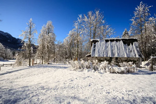 Val Canali Doğal Park Paneveggio Trentino Kış Manzarası — Stok fotoğraf