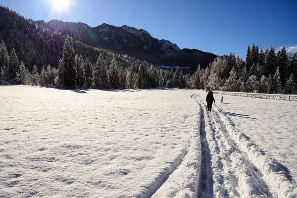 Zimní Krajina Val Canali Přírodním Parku Paneveggio Trentino — Stock fotografie