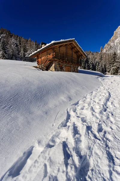 Vacker Utsikt Över Vinterlandskapet Piereni Val Canali Naturparken Paneveggio Trentino — Stockfoto