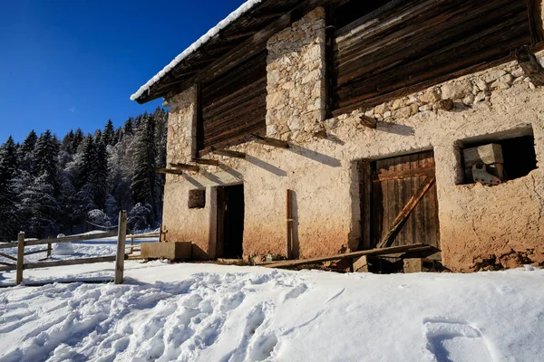 Piereni Deki Kış Manzarası Val Canali Deki Paneveggio Nun Doğal — Stok fotoğraf