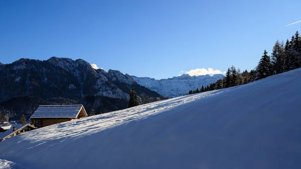 Vinter Panorama Från Piereni Val Canali Den Naturliga Parken Paneveggio — Stockfoto