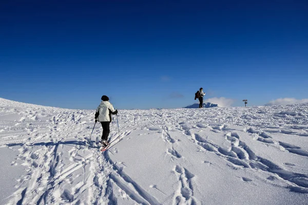 Mountaineers Top Piazzo Alps Orobie — Stock Photo, Image