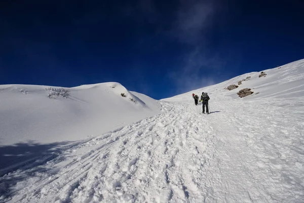 Montañistas Hacia Cima Piazzo Alpes Orobie — Foto de Stock