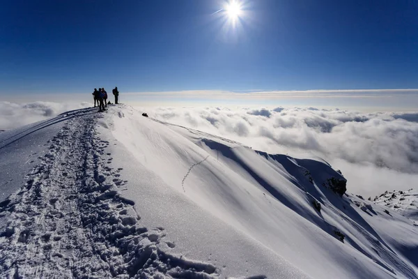 Mountaineers Top Piazzo Alps Orobie — Stock Photo, Image