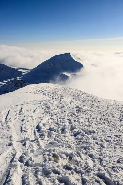 Zimní Panorama Vrcholu Piazzo Bergamských Alp — Stock fotografie