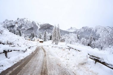 Val Canali, doğal park Paneveggio - Trentino kış manzarası