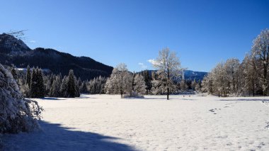 Val Canali, doğal park Paneveggio - Trentino kış manzarası