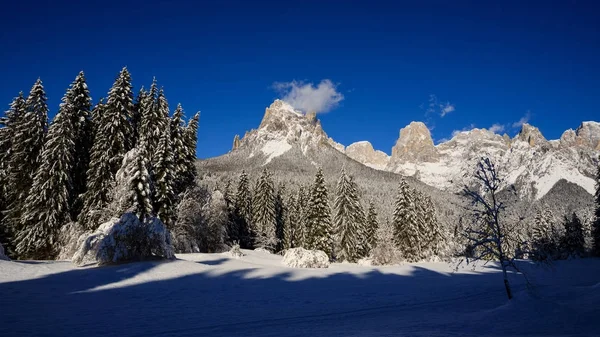 Paisagem Inverno Val Canali Parque Natural Paneveggio Trentino — Fotografia de Stock