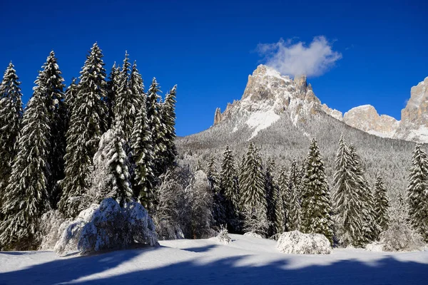 Paisagem Inverno Val Canali Parque Natural Paneveggio Trentino — Fotografia de Stock