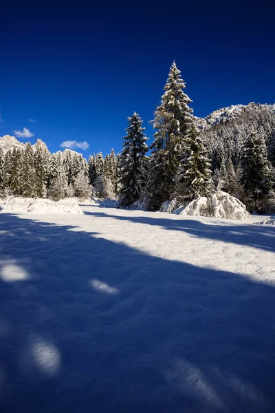 Paisaje Invernal Val Canali Parque Natural Paneveggio Trentino — Foto de Stock
