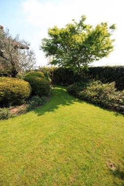 Bahçedeki yeşil ağaçlar ve bitkiler