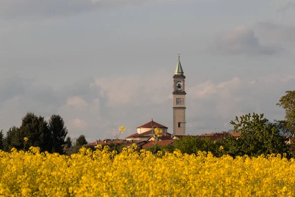 Flowering Rapeseed Field Background Village Guanzate Como — Stock Photo, Image