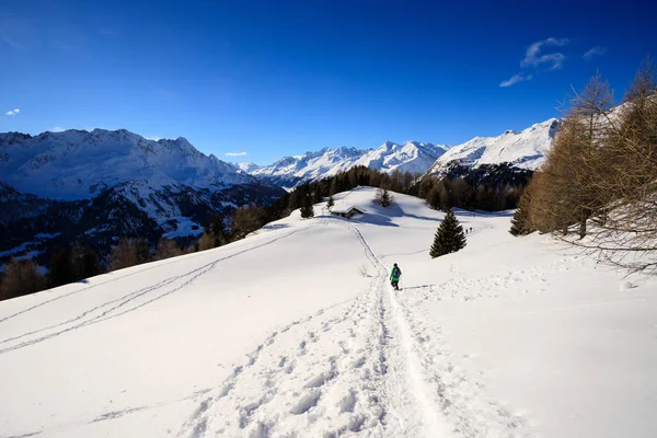 Vinterlandskap Klättrar Mot Foisc Spetsar Lepontine Alperna Schweiz — Stockfoto