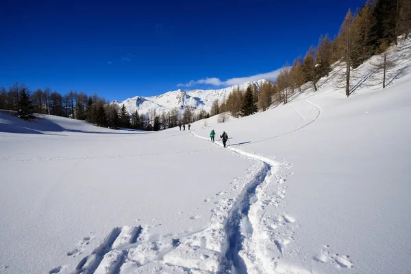 Montanhistas Subida Com Sapatos Neve Direção Laço Foisc Nos Alpes — Fotografia de Stock