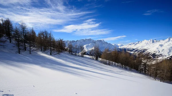 Vinterlandskap Klättrar Mot Foisc Spetsar Lepontine Alperna Schweiz — Stockfoto
