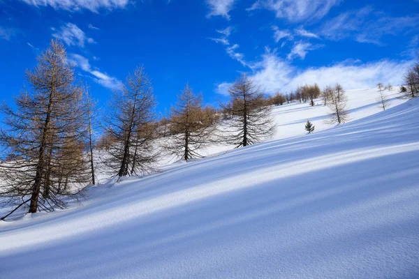 Vinterlandskap Klättrar Mot Foisc Spetsar Lepontine Alperna Schweiz — Stockfoto