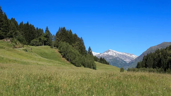 Krásná Krajina Horami Modrá Obloha — Stock fotografie