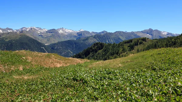 Krásná Krajina Švédských Alp Podívejte Zahradu Prato — Stock fotografie