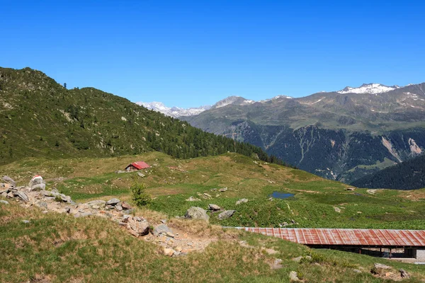 Bela Paisagem Dos Alpes Suecos Olhar Para Jardim Prato — Fotografia de Stock