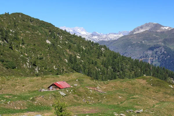Sveç Alpleri Nin Güzel Manzarası Prato Bahçesine Bakın — Stok fotoğraf