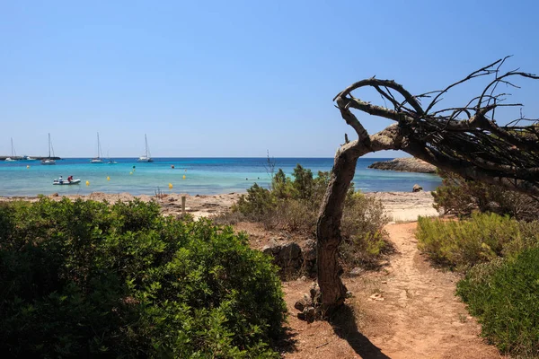 Enseada Ilha Menorca Ilhas Baleares — Fotografia de Stock