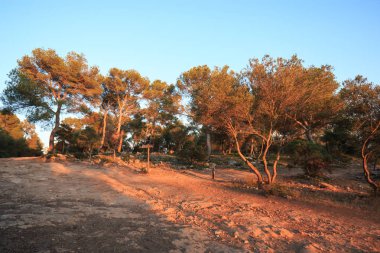 Cala Macara 'ya giden yol - Minorca Adası (Balear Adaları)