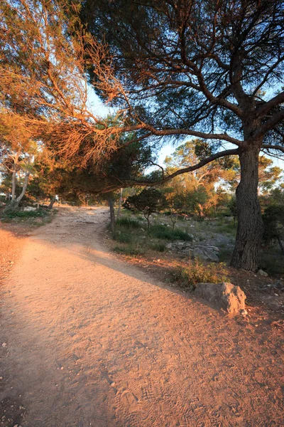 Ścieżka Cala Macara Wyspa Minorca Baleary — Zdjęcie stockowe
