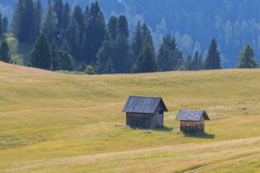 Prato Piazza - Trentino Alto Adige (Dolomitler)