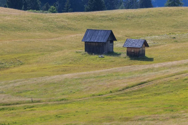 Prato Piazza Trentino Alto Adige Dolomitler — Stok fotoğraf