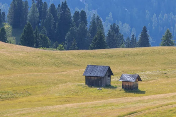 Prato Piazza Trentino Alto Adige Dolomieten — Stockfoto