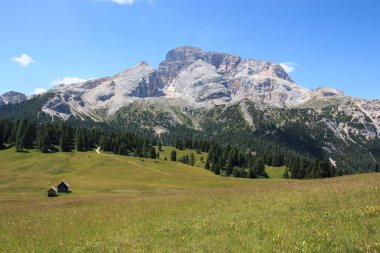 Prato Piazza 'dan Croda Rossa (Dolomitler))