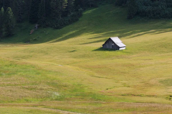 Prato Piazza Trentino Alto Adige Dolomiitit — kuvapankkivalokuva