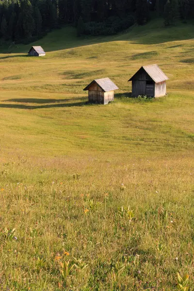 Prato Piazza Trentino Alto Adige Δολομίτες — Φωτογραφία Αρχείου