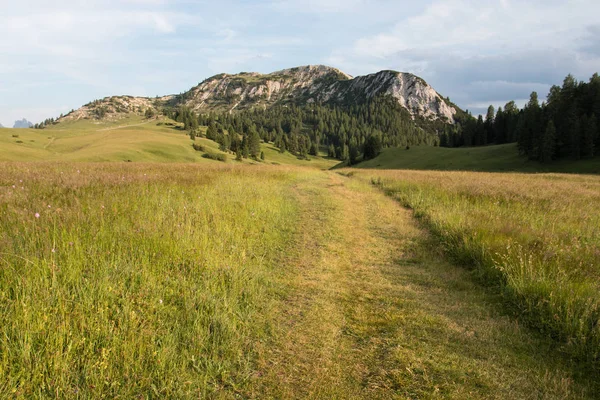 Prato Piazza Trentino Alto Adige Dolomity — Zdjęcie stockowe