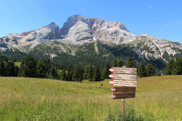 Croda Rossa Prato Piazza Dolomitas — Fotografia de Stock