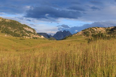 Prato Piazza - Trentino Alto Adige