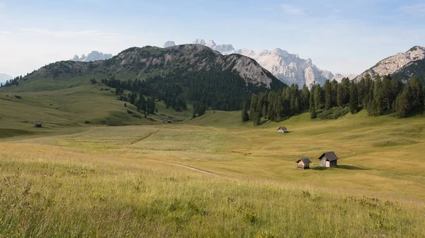 Paisaje Prato Piazza Trentino Alto Adigio — Foto de Stock