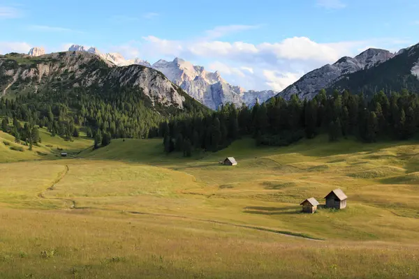 Paisaje Prato Piazza Trentino Alto Adigio — Foto de Stock