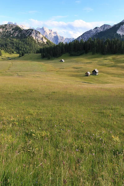 Krajobraz Prato Piazza Trentino Alto Adige — Zdjęcie stockowe