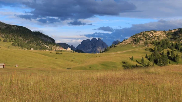 Krajina Prato Piazza Trentino Alto Adige — Stock fotografie