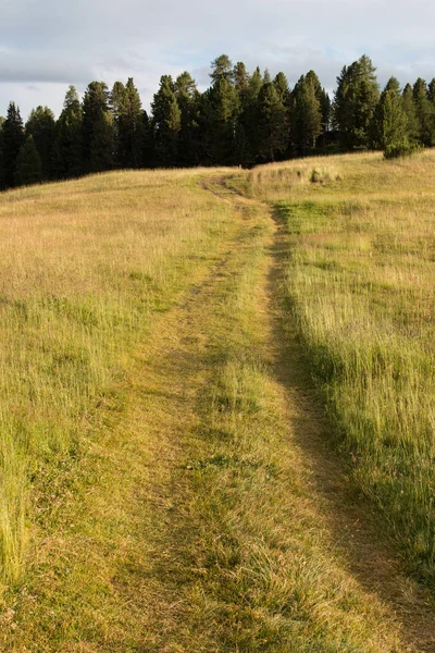 Paesaggio Prato Piazza Trentino Alto Adige — Foto Stock