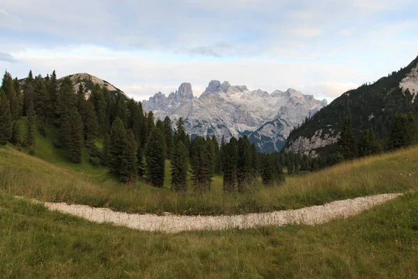 Landskap Prato Piazza Trentino Alto Adige — Stockfoto