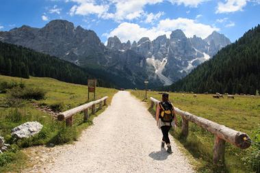 landscape in Val Venegia - Dolomites clipart