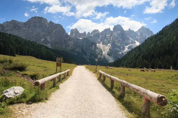 Krajina Val Venegia Dolomity — Stock fotografie