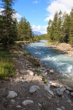 Doire de Ferret, torrente bolluente della Dora Baltea, in val Ferret (Valle Aosta)