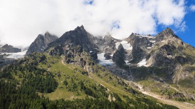 Val gelinciğinin güzel manzarası