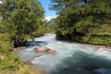 Dora Baltea 'nın kolu olan Doire de Ferret - Val Ferret (Aosta Vadisi))