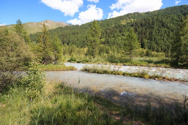 Doire Ferret Tributary Torrent Dora Baltea Val Ferret Aosta Valley — Stock Photo, Image